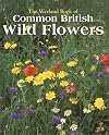 Wayland Book of Common British Wild Flowers: A Photographic Guide