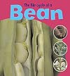 The Life Cycle of a Bean (Learning About Life Cycles)
