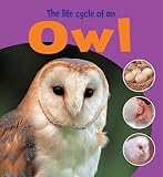 Amazon cover image