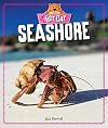 Seashore