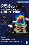 Practical Perioperative Transoesophageal Echocardiography