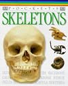 Skeletons (DK Pockets)
