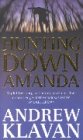 Hunting Down Amanda book cover