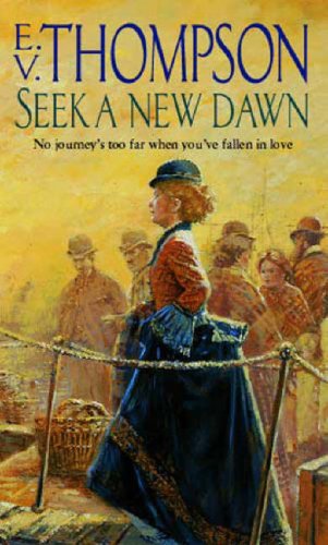 Seek A New Dawn book cover