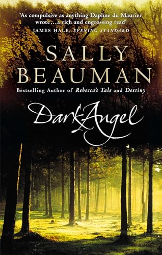 Dark Angel book cover