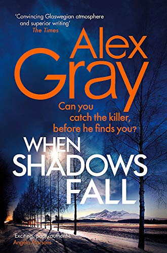 When Shadows Fall book cover