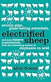 Electrified Sheep