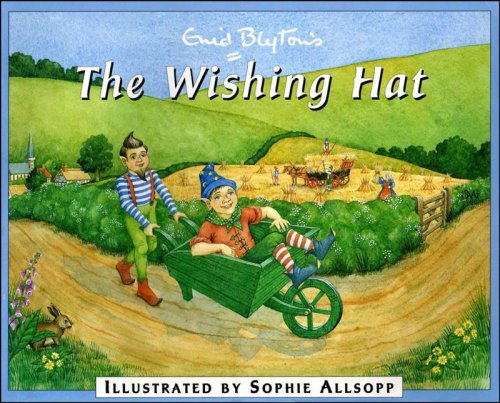 The Wishing Hat book cover