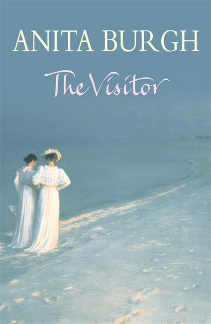The Visitor book cover