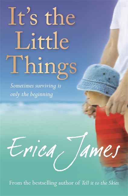It's the Little Things book cover