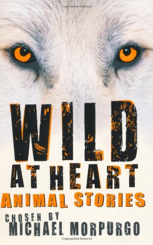 Wild at Heart book cover
