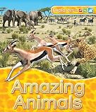 Amazon cover image