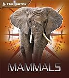 Amazon cover image