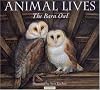 The Barn Owl (Animal Lives)