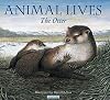 The Otter (Animal Lives)