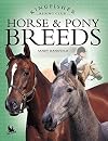 Horse & Pony Breeds (Kingfisher Riding Club)