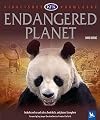 Endangered Planet (Kingfisher Knowledge)