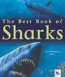 My Best Book Of Sharks The Best Book Of