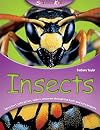 Insects (Science Kids)