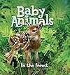 Baby Animals In the Forest