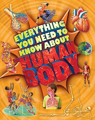 Cover of Everything You Need to Know about the Human Body