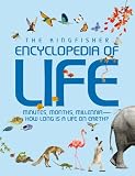 Amazon cover image