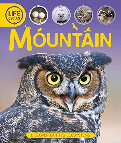 Cover of Mountain