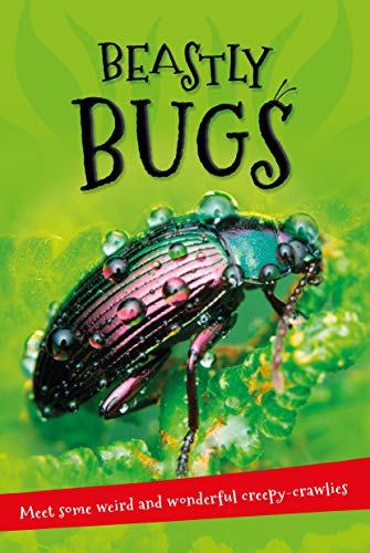 Cover of Beastly Bugs