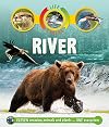 River (Life Cycles)