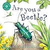 Are You a Beetle?