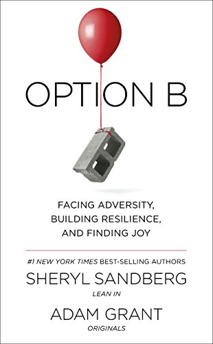 Option B book cover