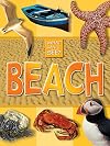 What Can I See?: Beach