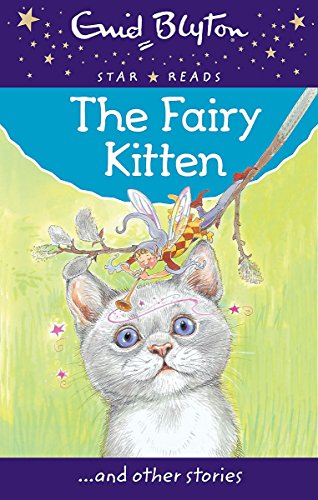 The Fairy Kitten book cover