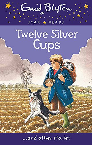 Twelve Silver Cups book cover