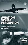Aviation Visual Perception: Research, Misperception and Mishaps