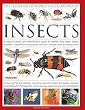 The Illustrated World Encyclopedia Of Insects A Natural History And Identification Guide To Beetles Flies Bees Wasps Springtails Mayflies Crickets Bugs Grasshoppers Fleas Spide