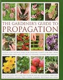 The Gardeners Guide To Propagation Stepbystep Instructions For Creating Plants For Free From Propagating Seeds And Cuttings To Dividing Layering And Grafting