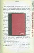 The Brightfount Diaries
