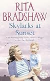 Skylarks at Sunset