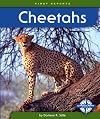 Cheetahs (First Reports: Animals)