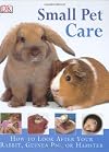 Small Pet Care: How to Look After Your Rabbit, Guinea Pig, or Hamster