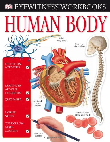 Cover of Human body