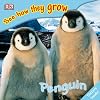 See How They Grow: Penguin