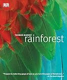 Rainforest