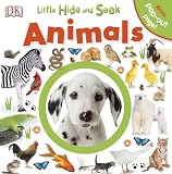 Amazon cover image
