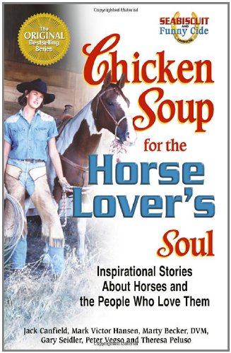 Horse Lover's Soul book cover