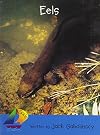 Eels (Rigby Sails Early)