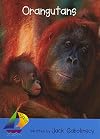 Orangutans