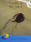 Tracks in the Sand