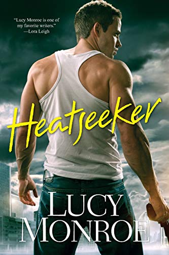 Heatseeker book cover